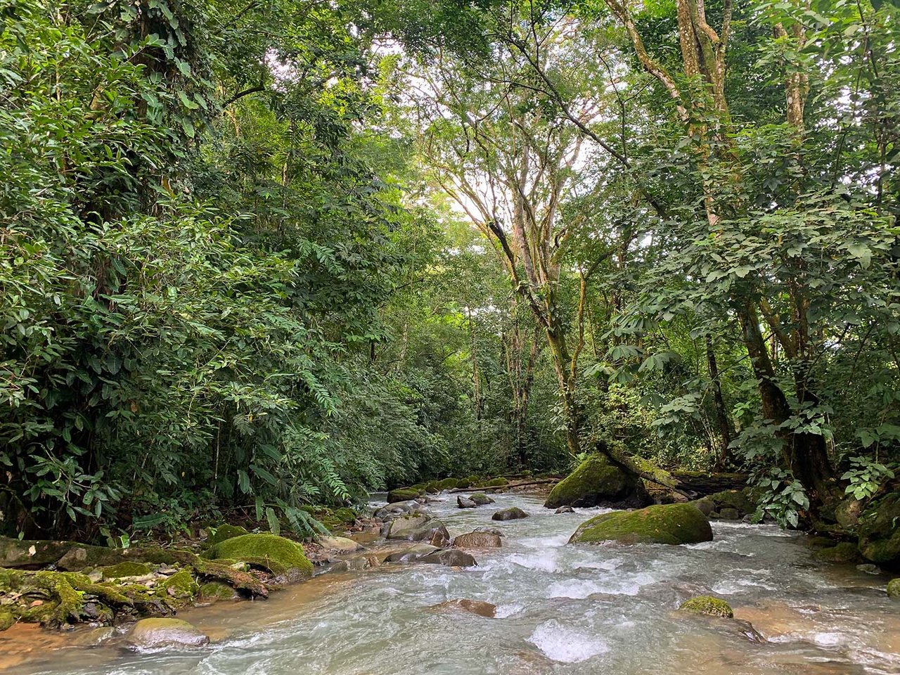 Farm In Chontales, 47 Acres With Ocean View And River