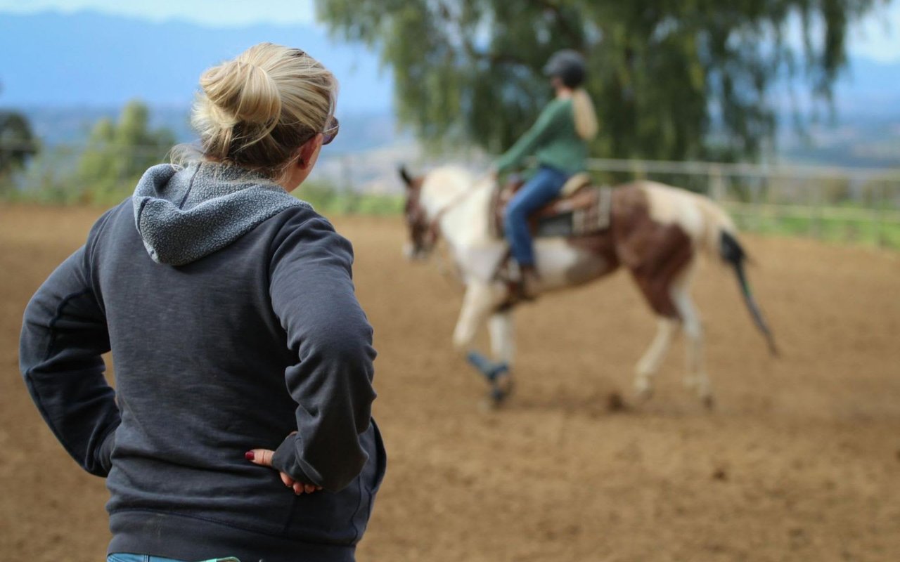 The Future of Equestrian Real Estate in Woodside