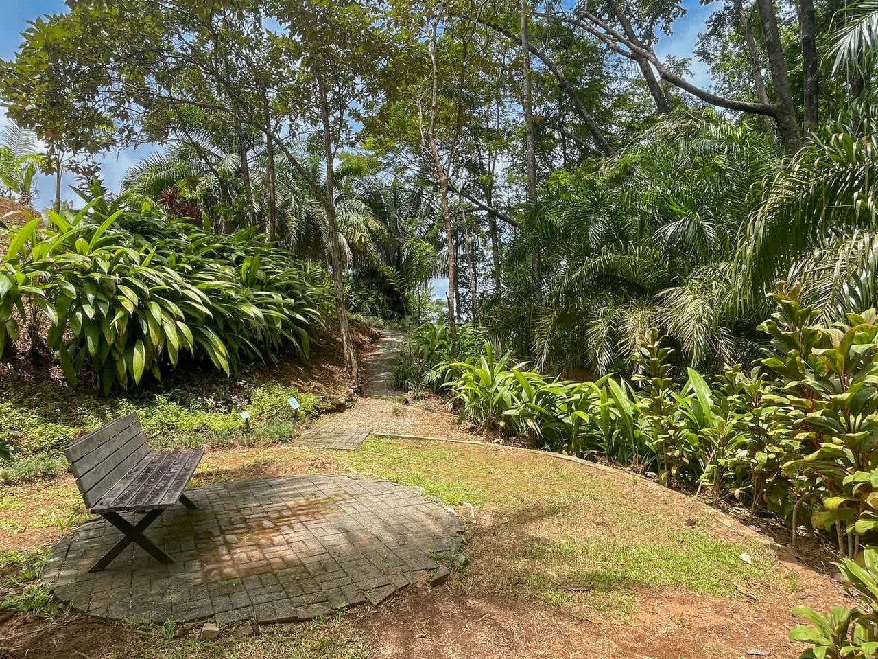 Achiote Reserve, Impeccable Estate and Reserve, Overlooking Playa Hermosa