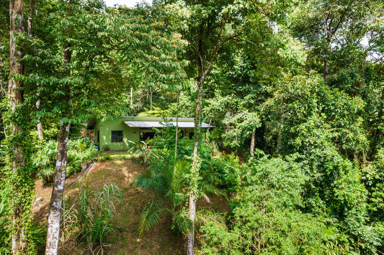 Tropical Villas on 11 Acres of Jungle. Great Location for a Retreat!