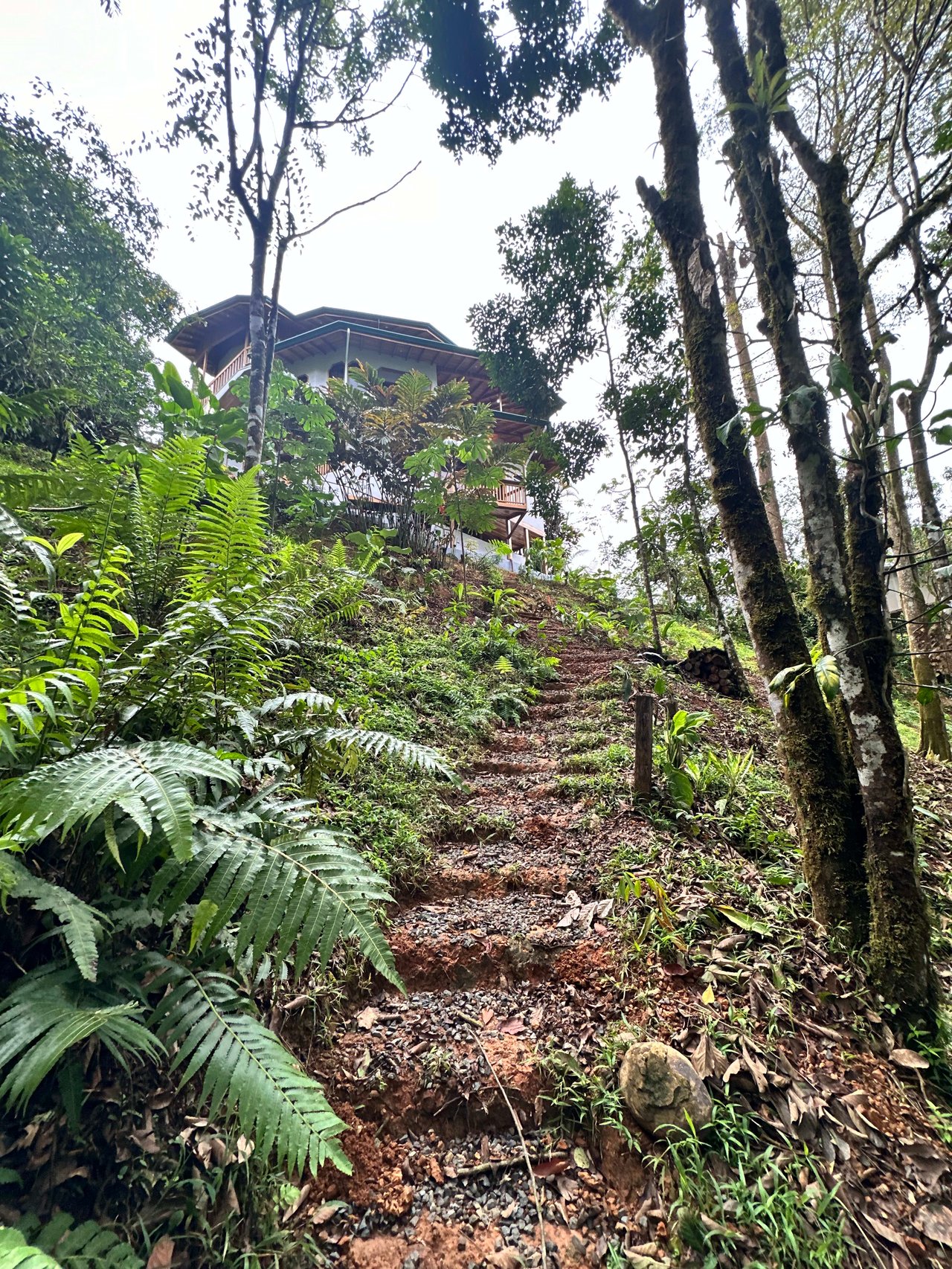 Discover the Charm of an Exotic Home in Las Tumbas, Costa Rica