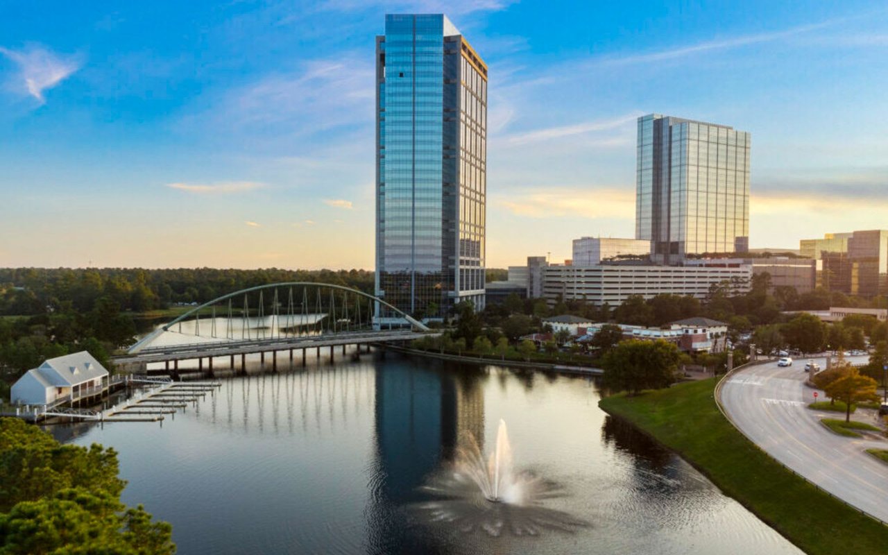 The Woodlands, Past and Present