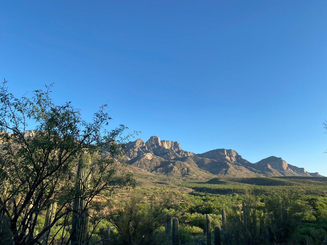 Oro Valley