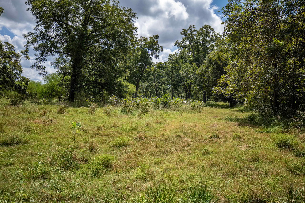 Lovers Lane River Ranch | 140± Acres | DeWitt County