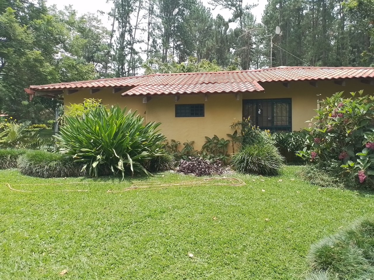 Coffee Farm Hacienda Estate, Perez Zeledon, San Jose