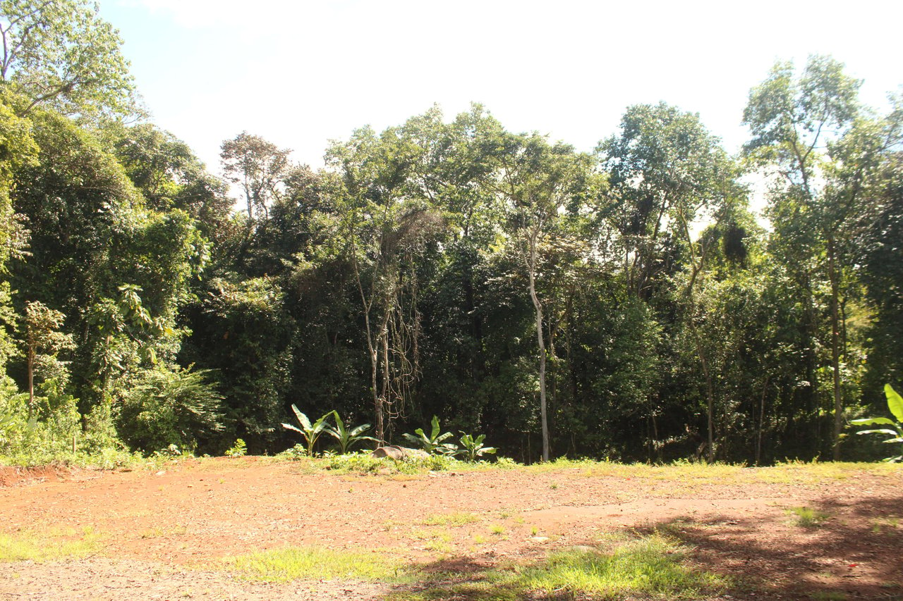 River Frontage Lot close to Uvita