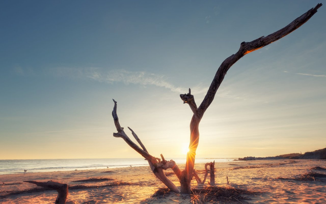 James Island, SC