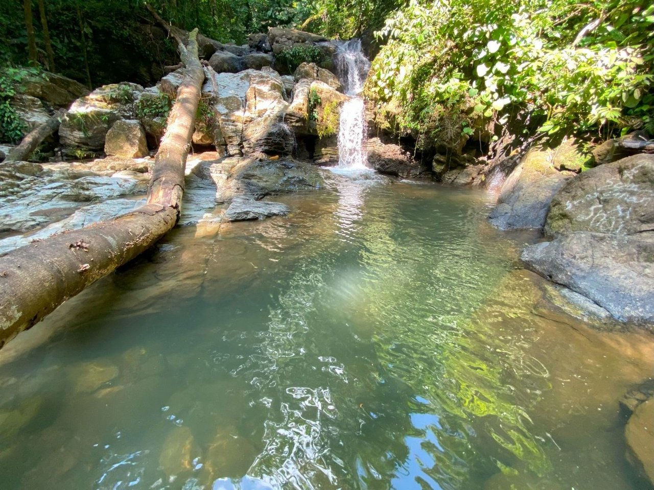 Mountain River View Farm, Osa, Puntarenas