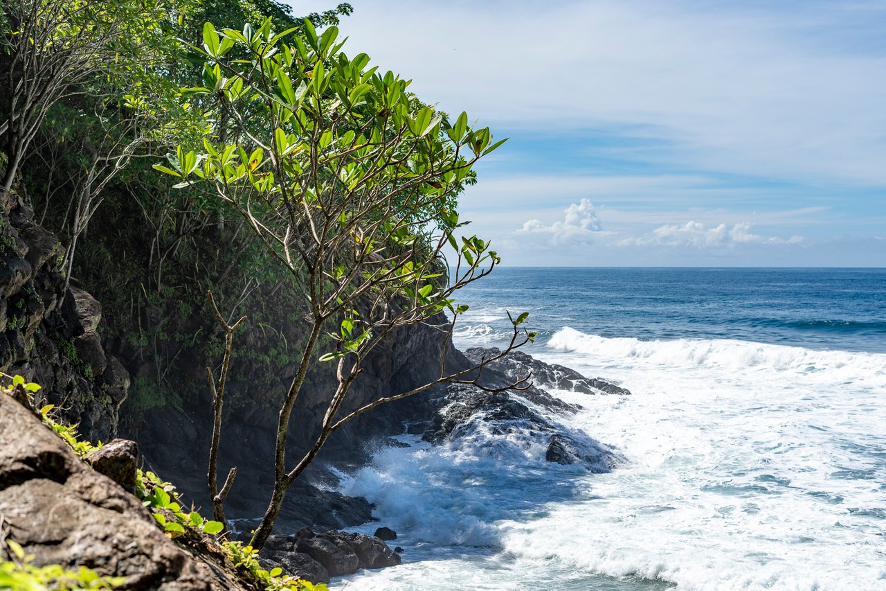 Rare Titled Oceanfront Development Land, Nosara, Guanacaste