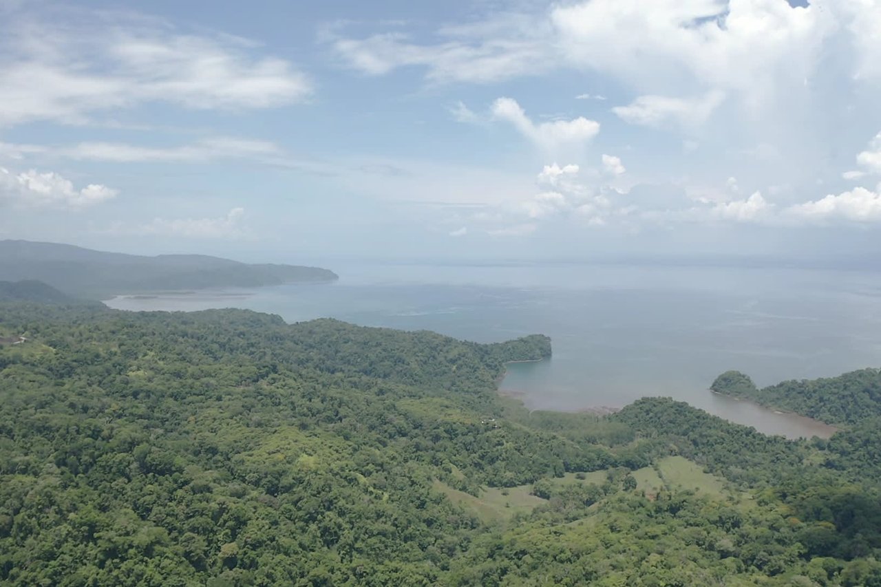 Osa Peninsula Los Mogos Magic Golfo Dulce Views 71 Acres