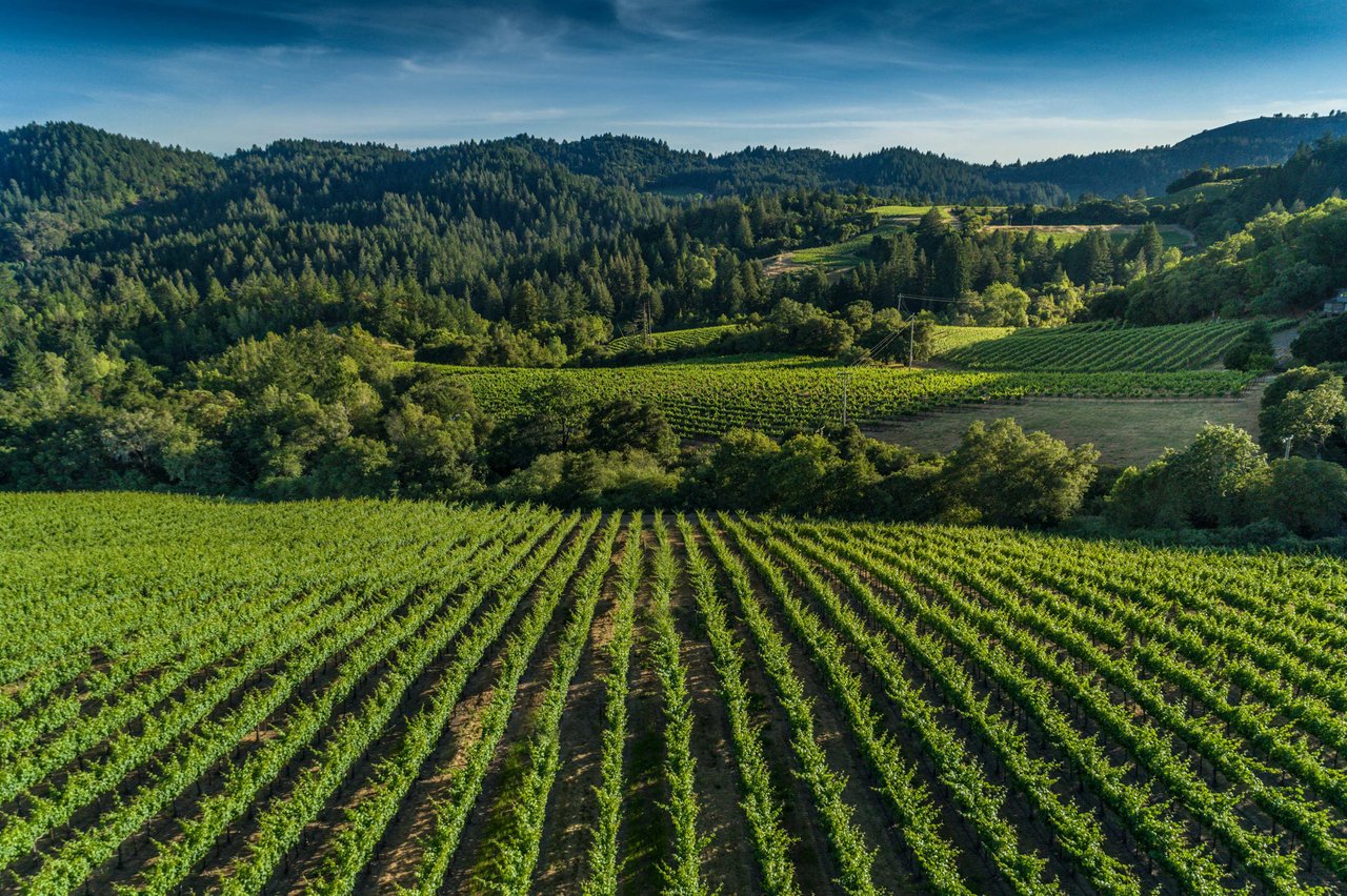 Mount Veeder Road, Napa