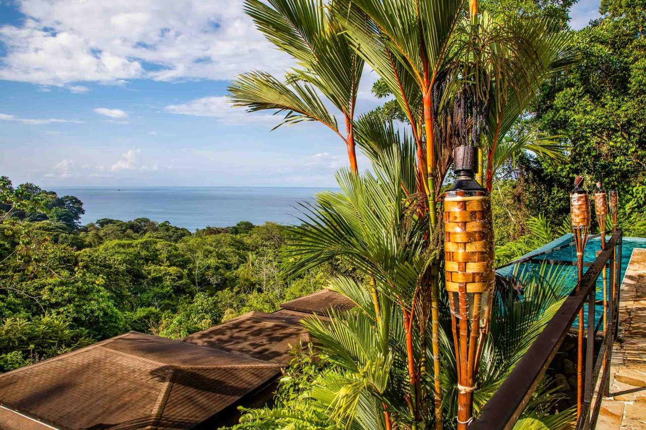 Profitable Boutique Hotel With Room for Expansion Tiki Villas Rainforest Lodge and Spa