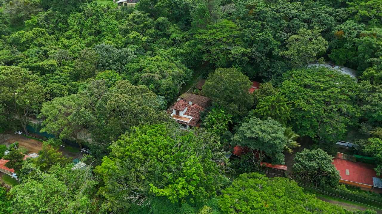 Mountain Estate With Guest Studio, Santa Ana, San Jose