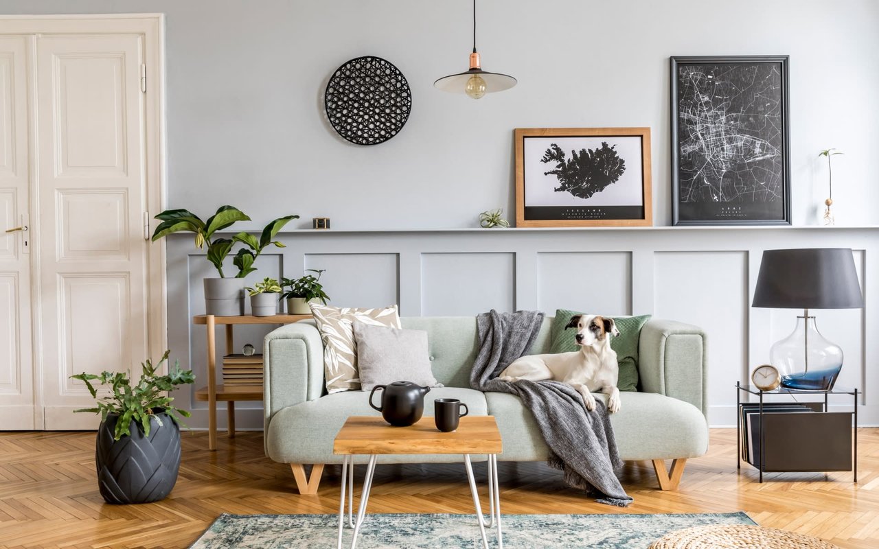 10 Ways to Make Your Home More Peaceful