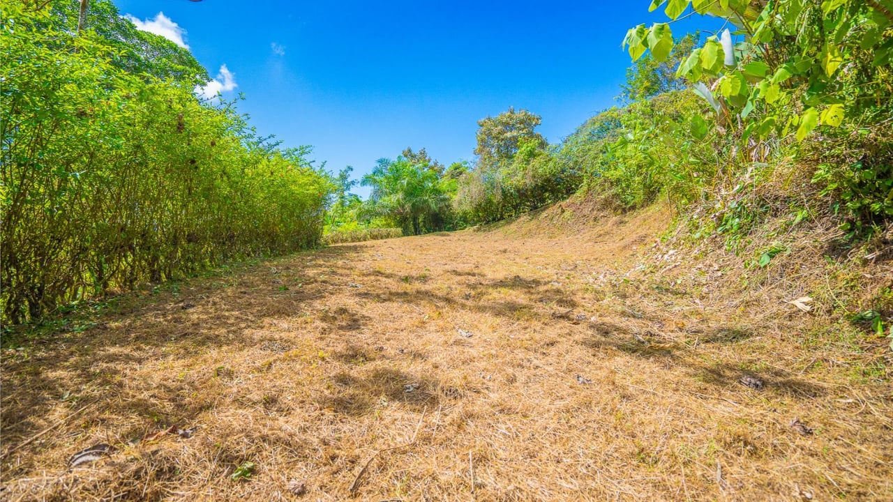 Forest View Build Ready Lot, Ojochal, Puntarenas