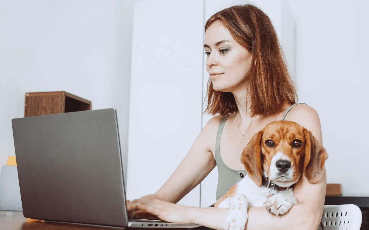 10 Side Hustles You Can Do from Home