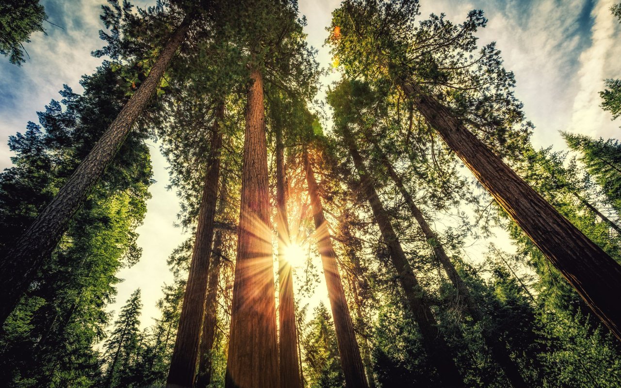 San Lorenzo Valley