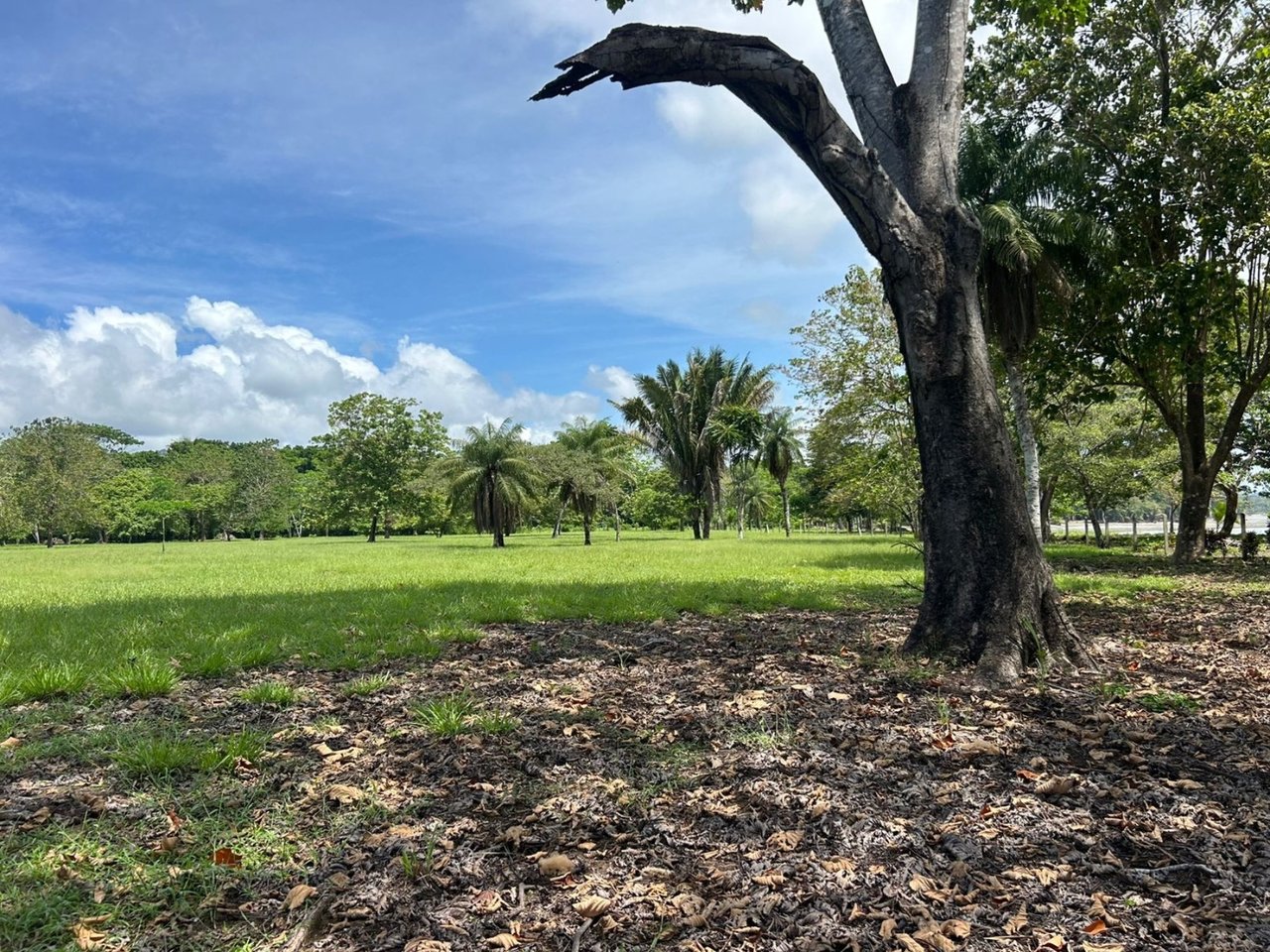 Titled Beachfront Development Land, Osa, Puntarenas
