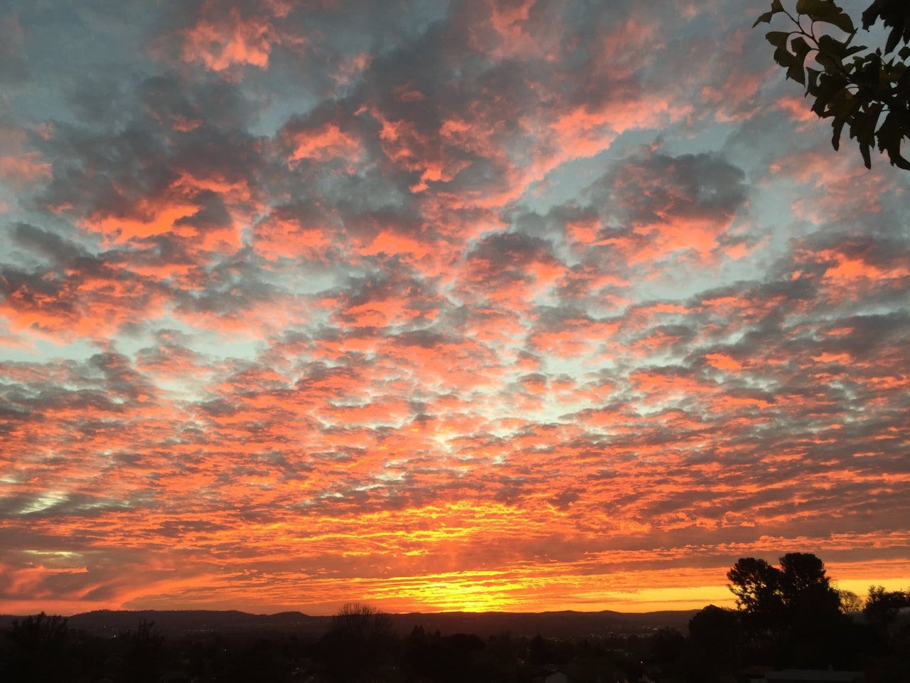 Mission Viejo Single Level View Home