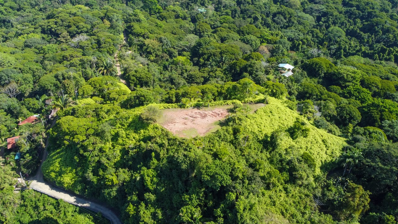 MANGO MANOR RIDGE PREMIER OCEAN VIEW PROPERTY IN DOMINICAL