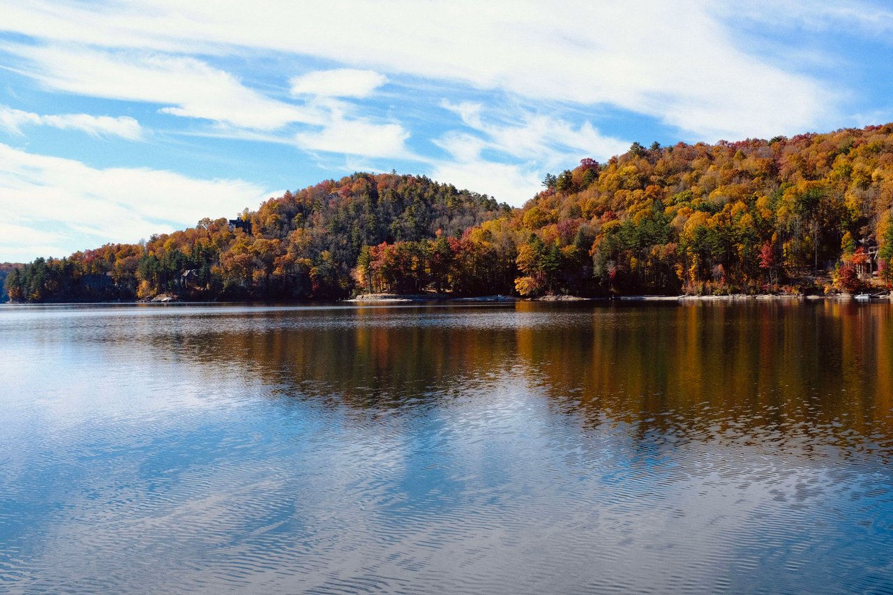 a tranquil cove on lake glenville where vignette holds company parties