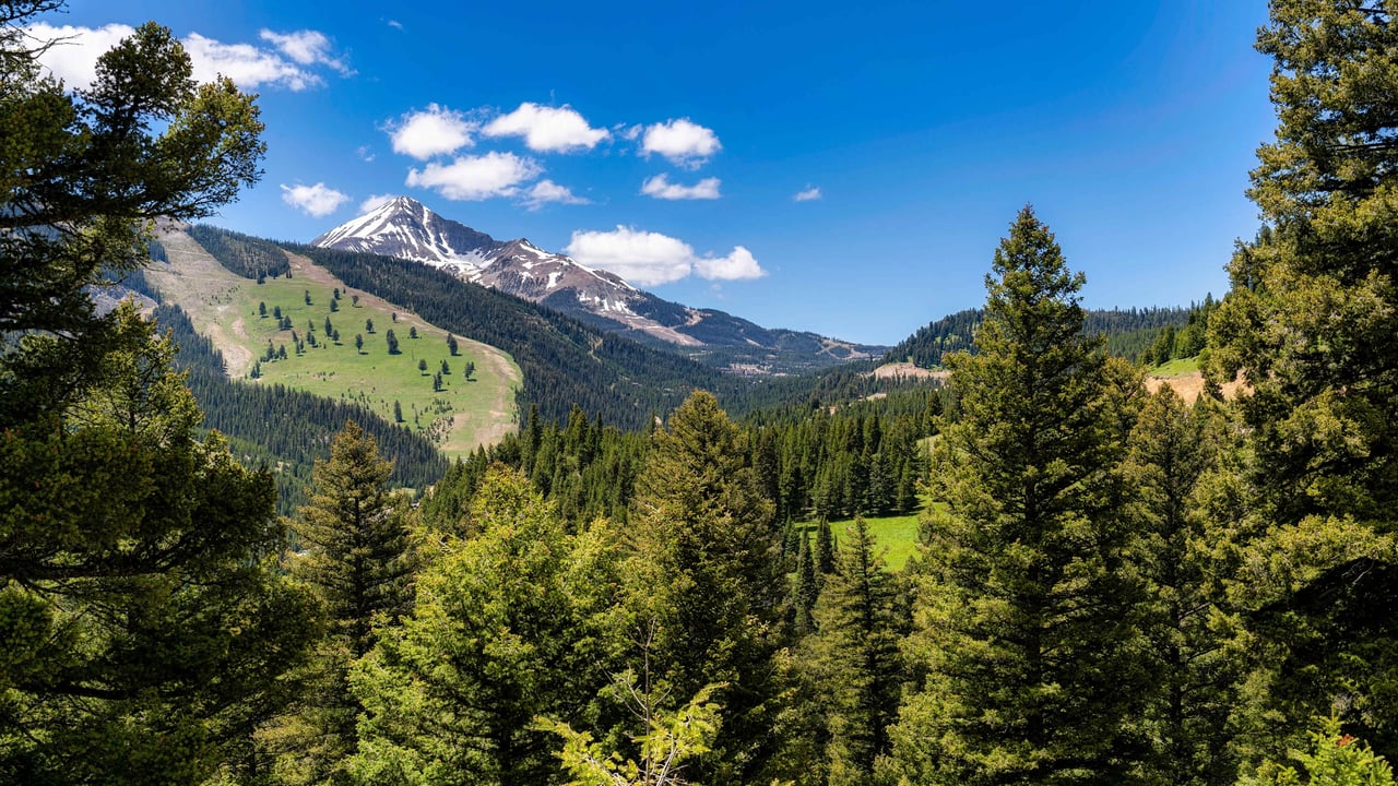 Big Sky Town Center / Meadow Area