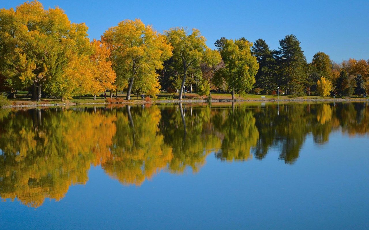 Washington Park Real Estate Market Prices, Trends, & Forecasts 2023