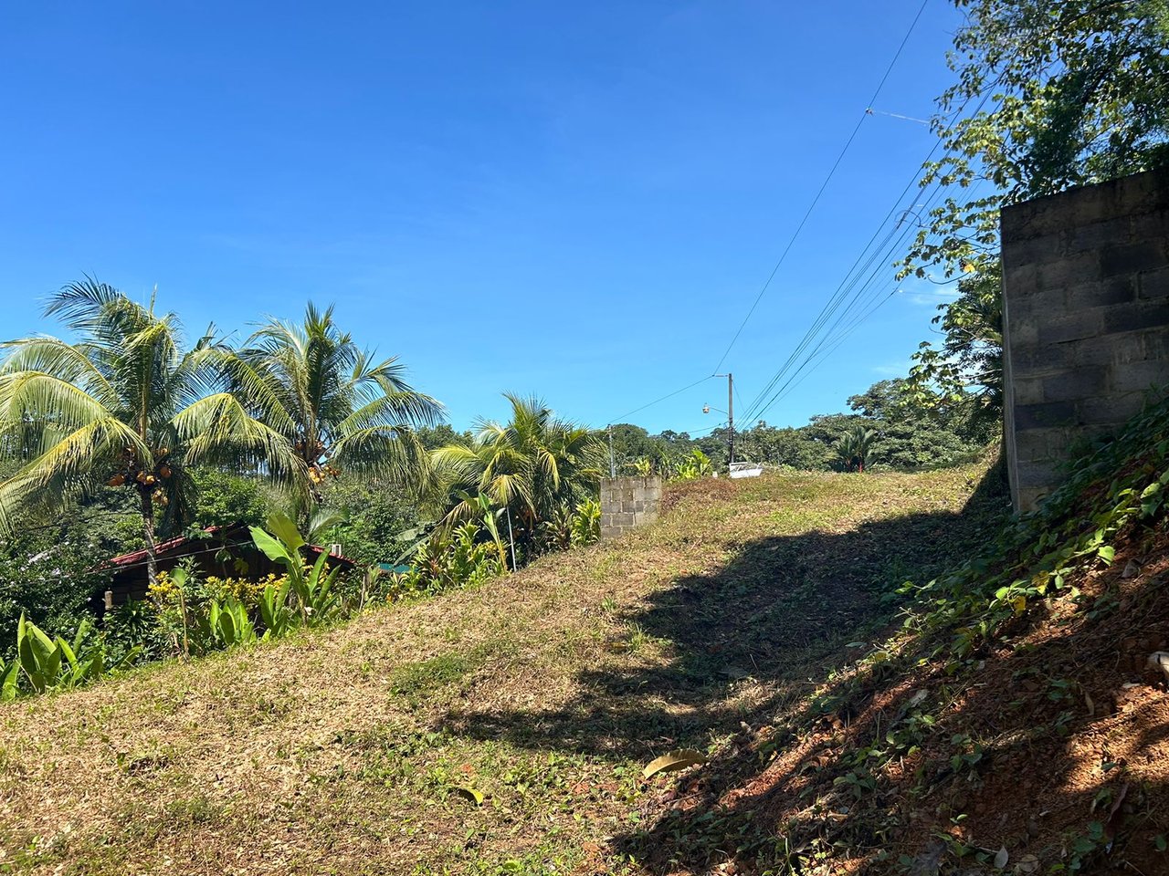 Reasonable Lot for sale in Uvita