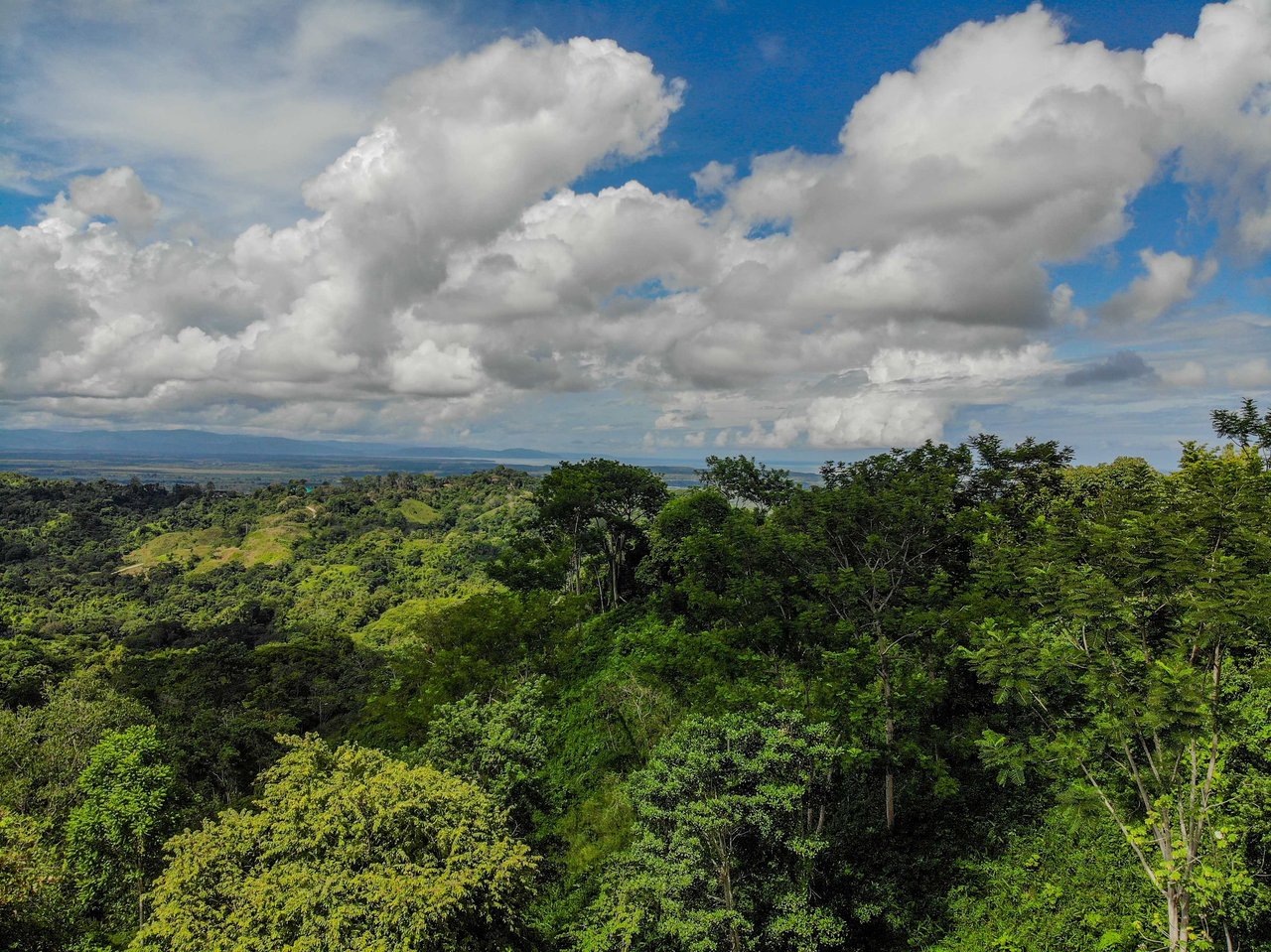 Ocean & Mountain View Half-Acre Lot in Gated Chontales Community