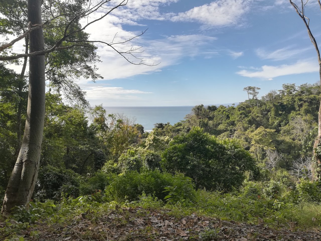 Distinguished Ocean View Development Acreage, Santa Teresa, Puntarenas