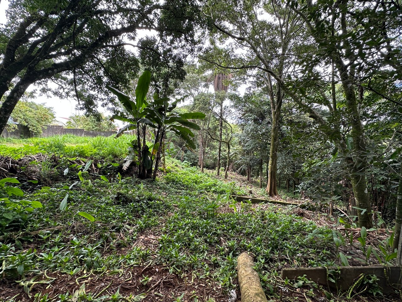 Lush Butterfly Garden Building Lot, Heredia