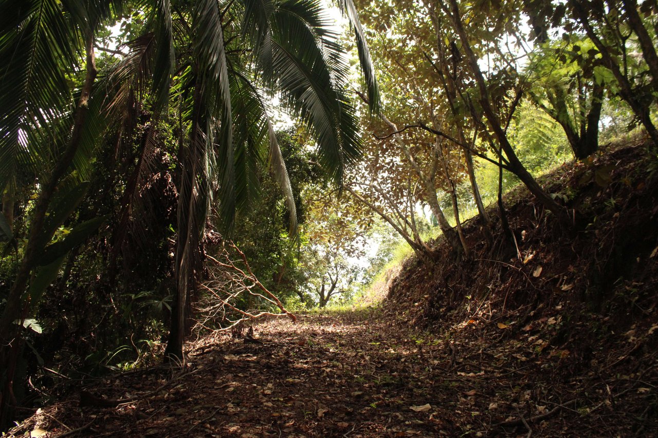 Income Producing Property with Ocean View close to Dominical
