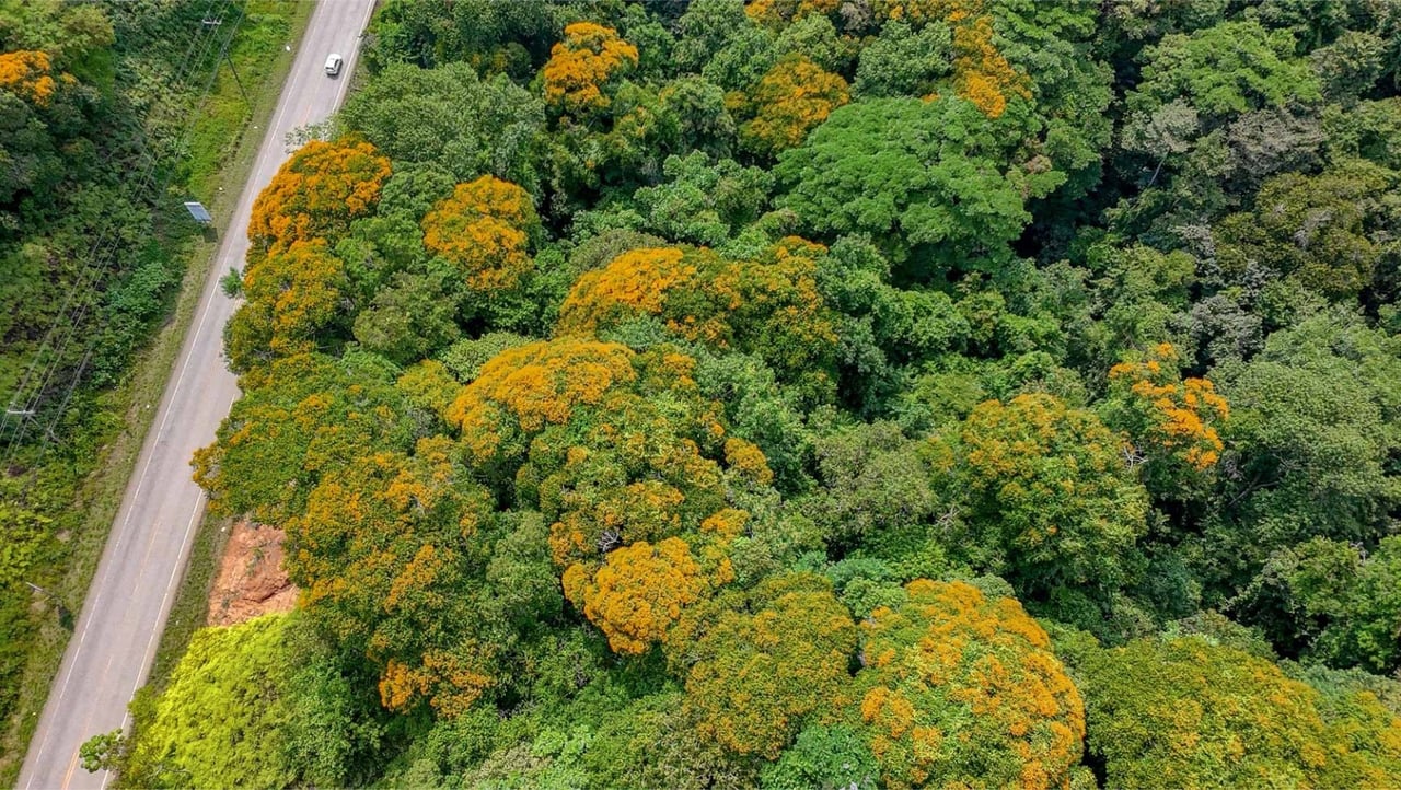 Oceanfront Highway Commercial Land, Ojochal, Puntarenas