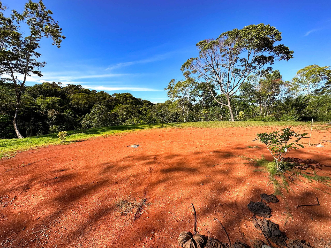 A 1-bedroom loft PERFECT for a couple or an Airbnb rental – plus a HUGE jungle backyard with a year-round river and many magical swimming holes – and a lot of flat land for further development!