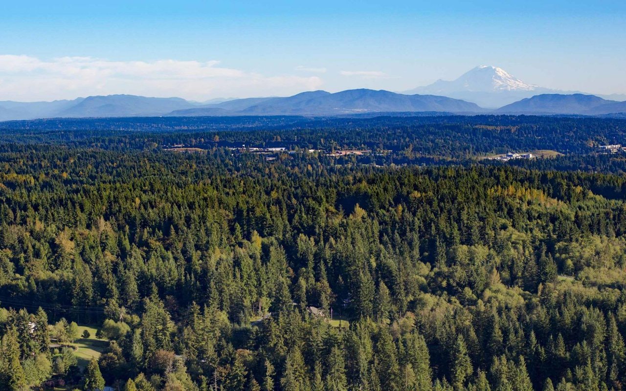 Forested Mill Creek neighborhoods with Mount Rainier in the distance.