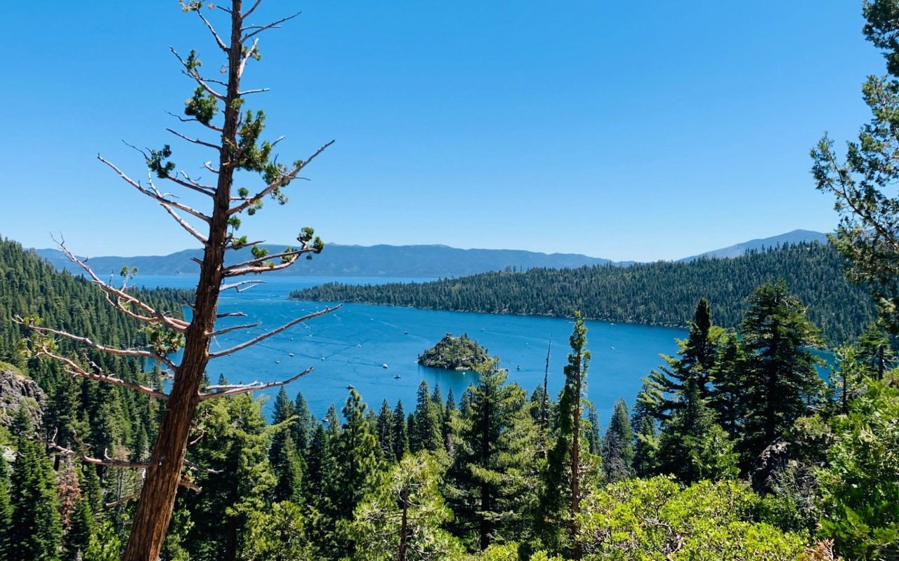 Breathtaking panoramic view of Emerald Bay featuring a secluded island, crystal-clear blue water, and lush pine forests.