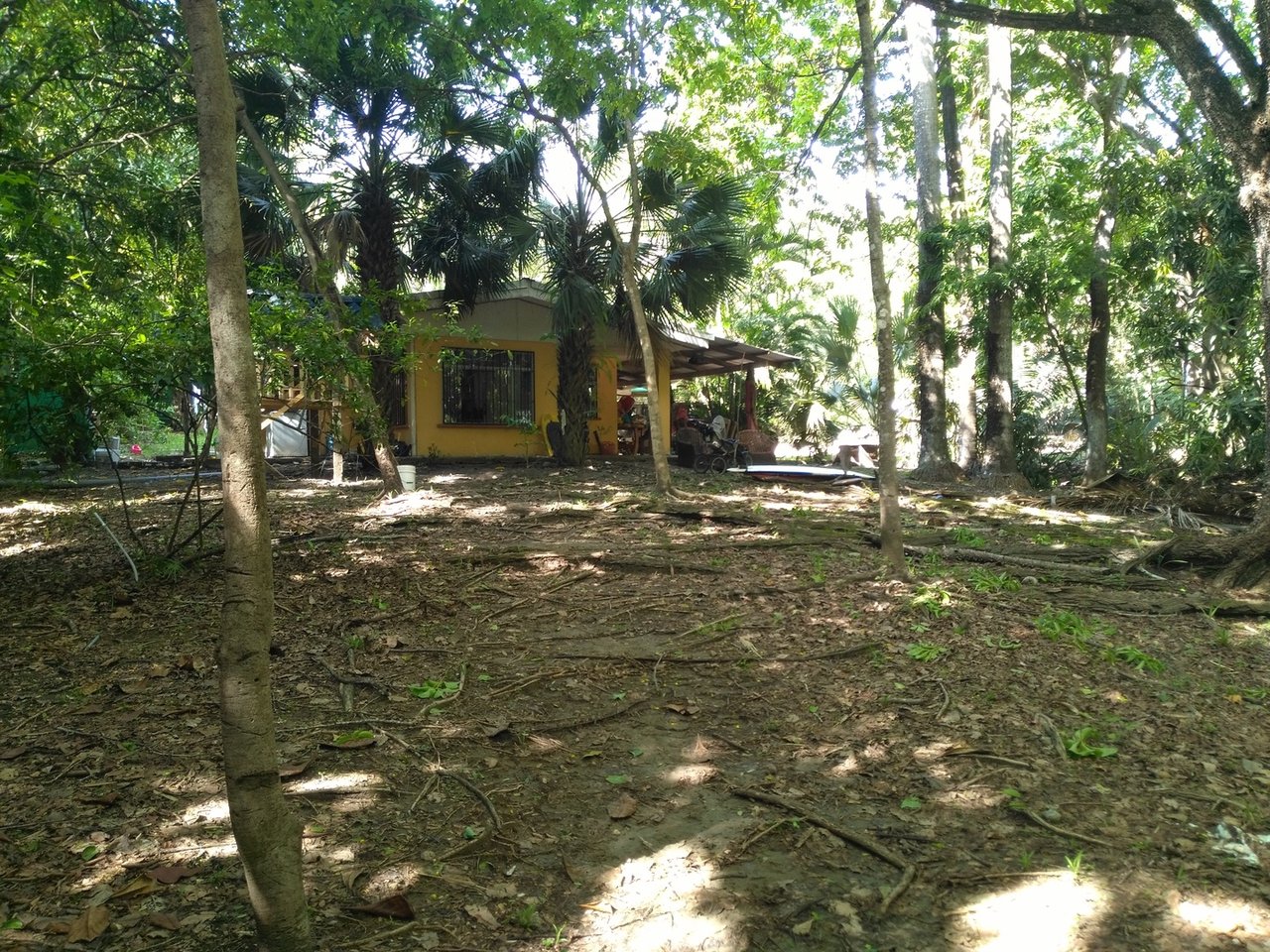 Private Secluded Beachfront Lot, Santa Teresa, Puntarenas