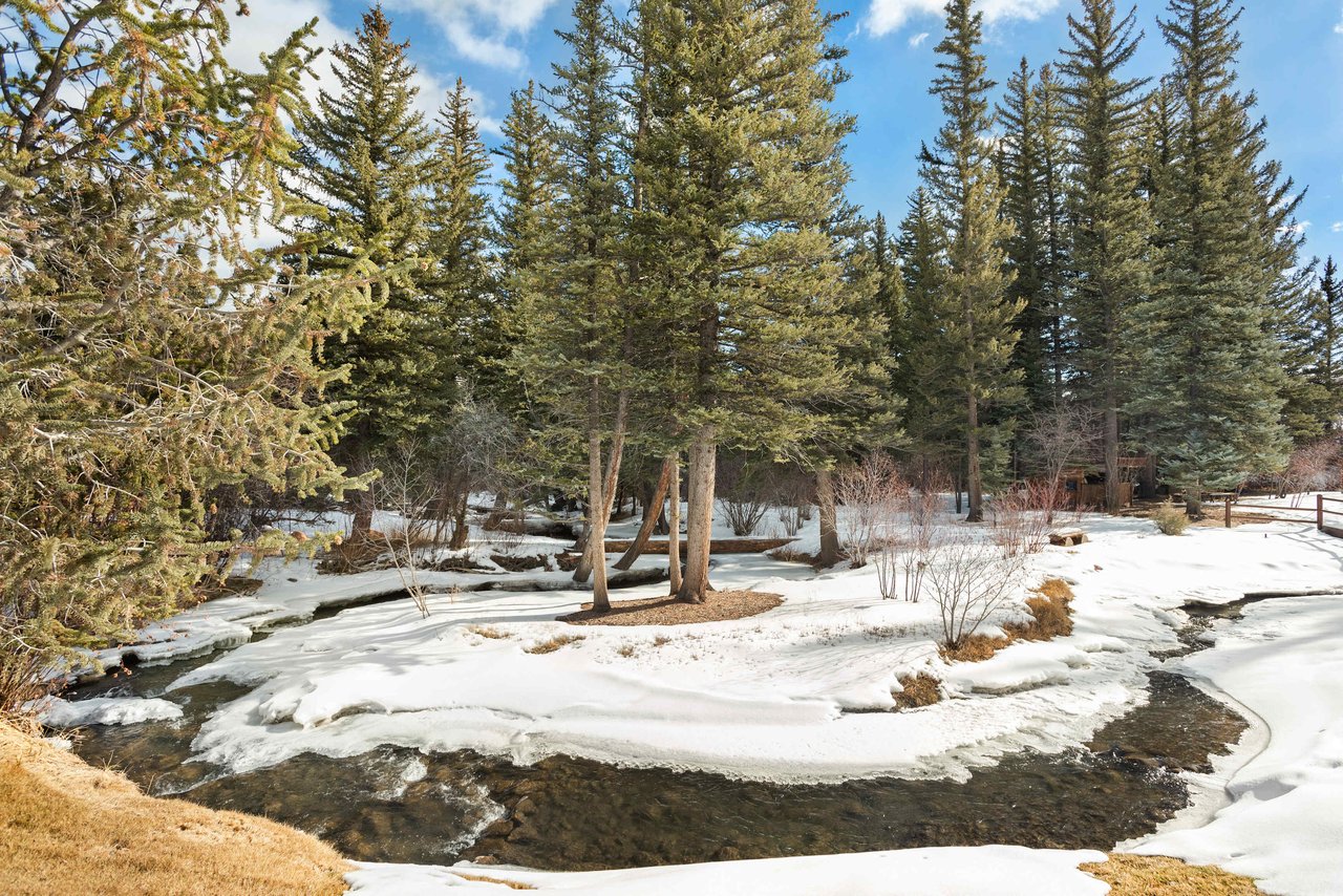 Old Snowmass River Rental Property