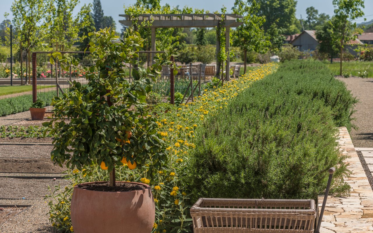 Yountville Cross, Yountville