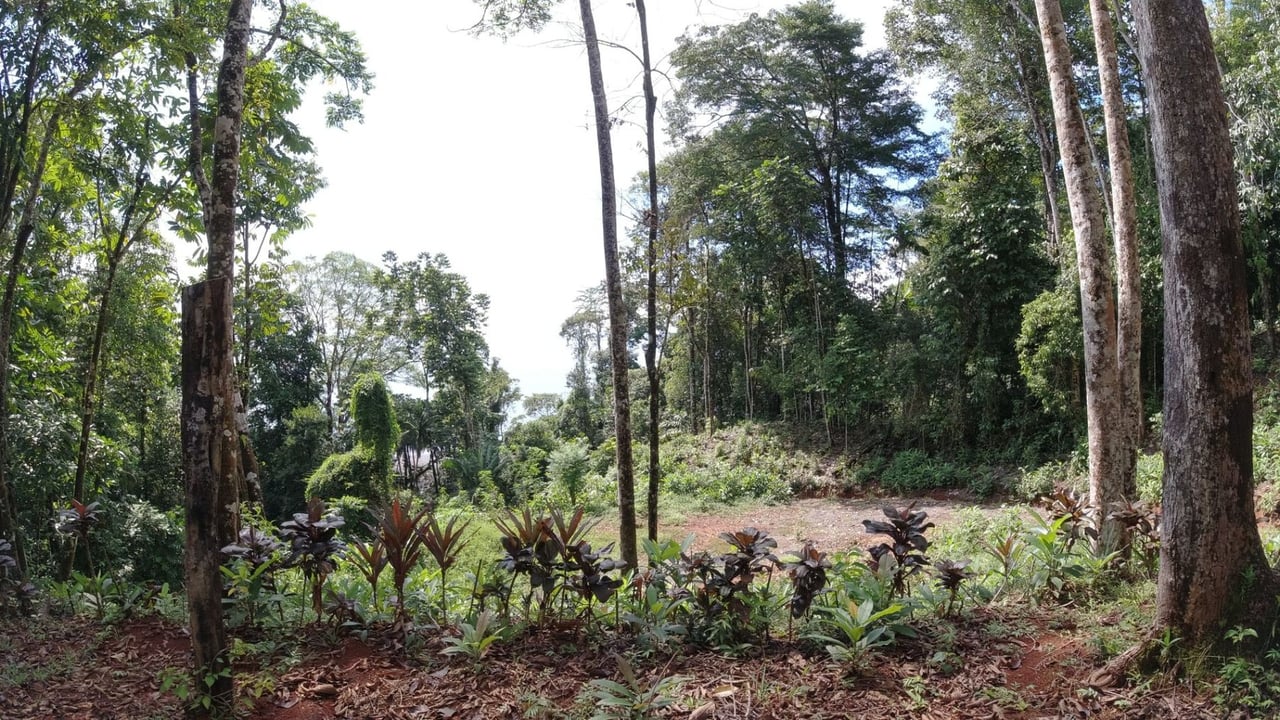 Secluded Rainforest Beachfront Estate, Osa, Puntarenas