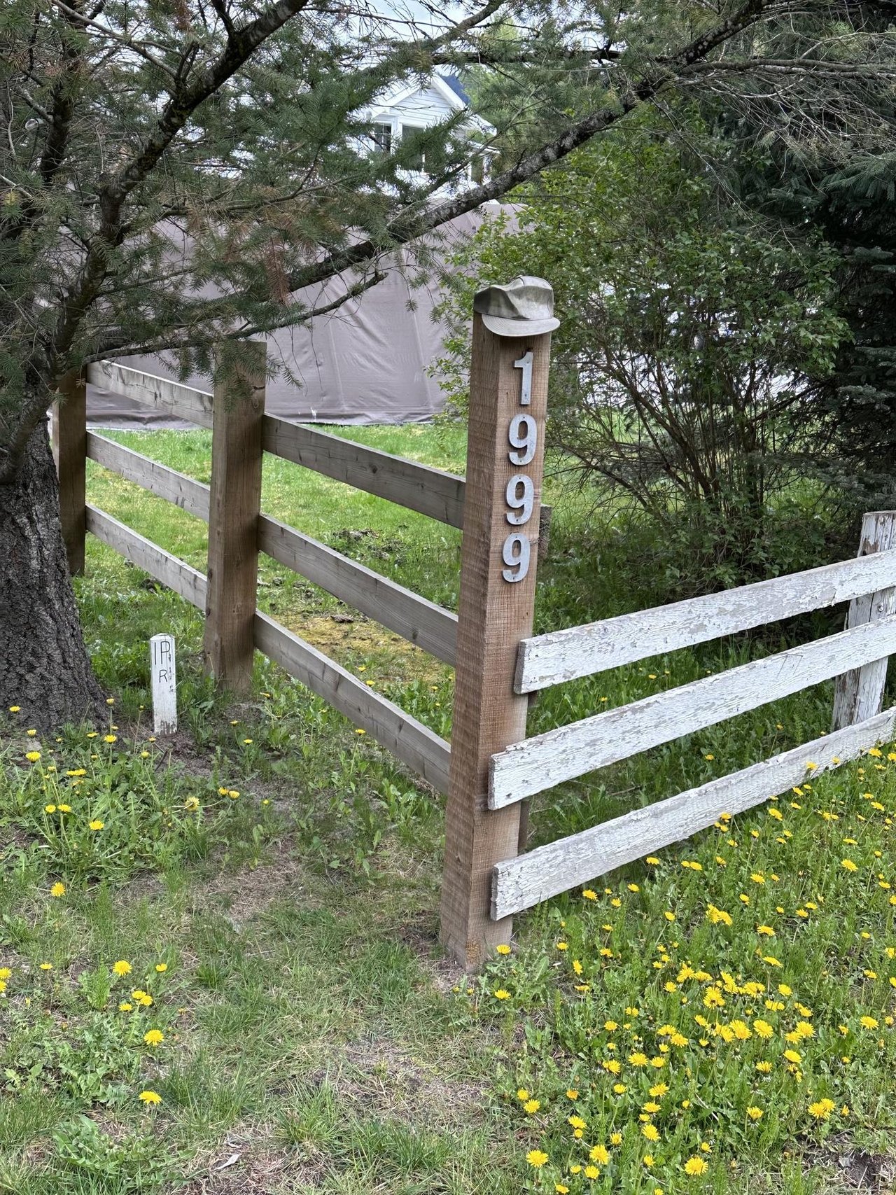 1999 Hwy 99