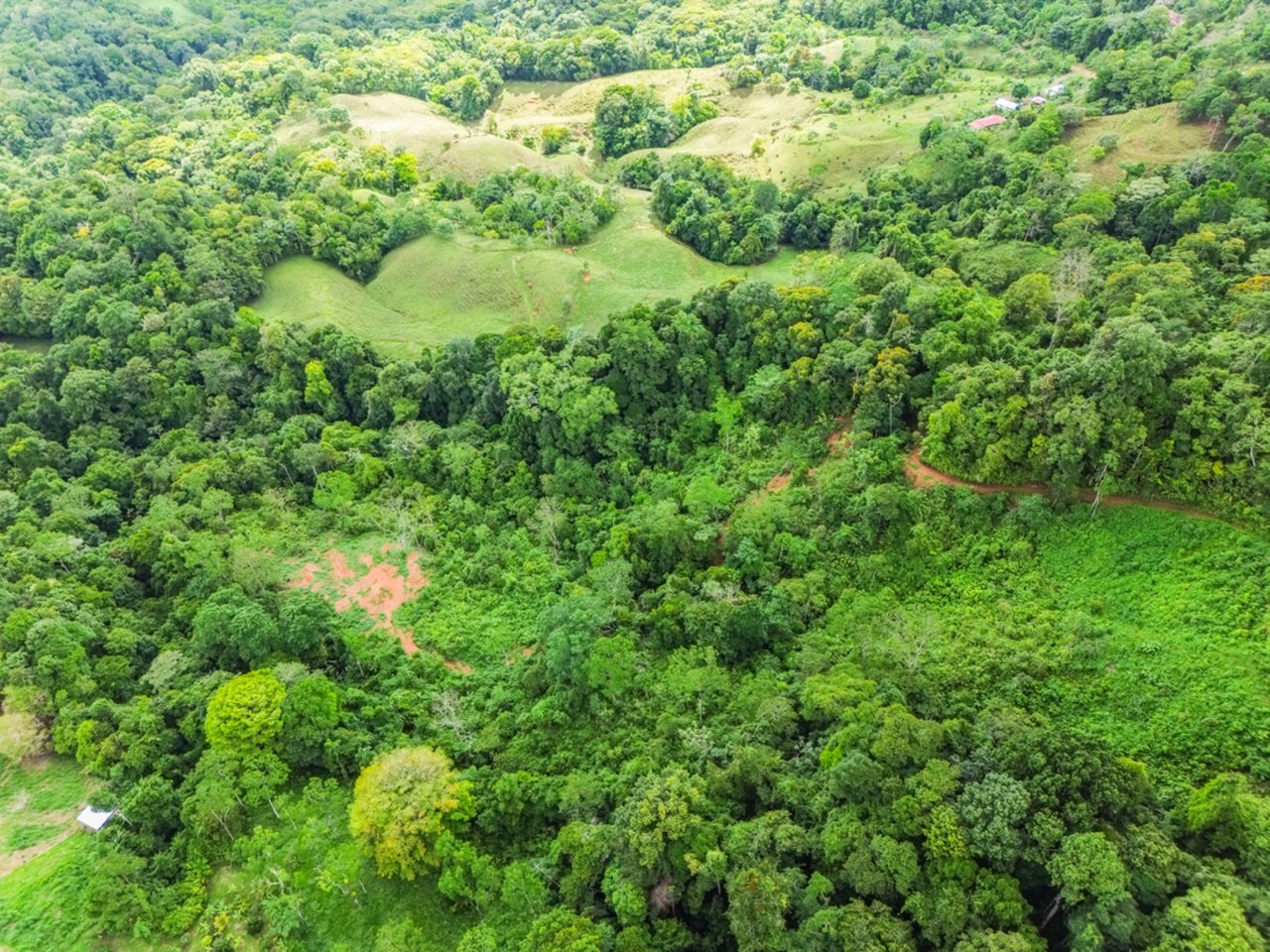 Panoramic Ocean View Waterfall Farm, Perez Zeledon, San Jose
