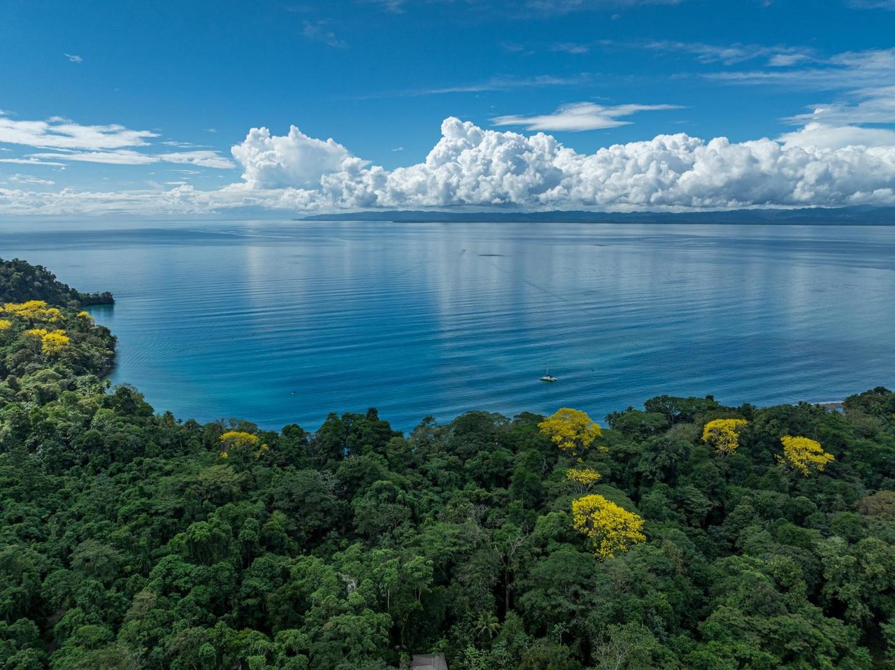 Private Beachfront Rainforest Estate, Osa, Puntarenas