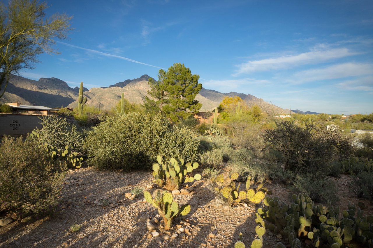 SITUATED IN THE DESIRABLE VISTA DE LAS CANDELAS ESTATES
