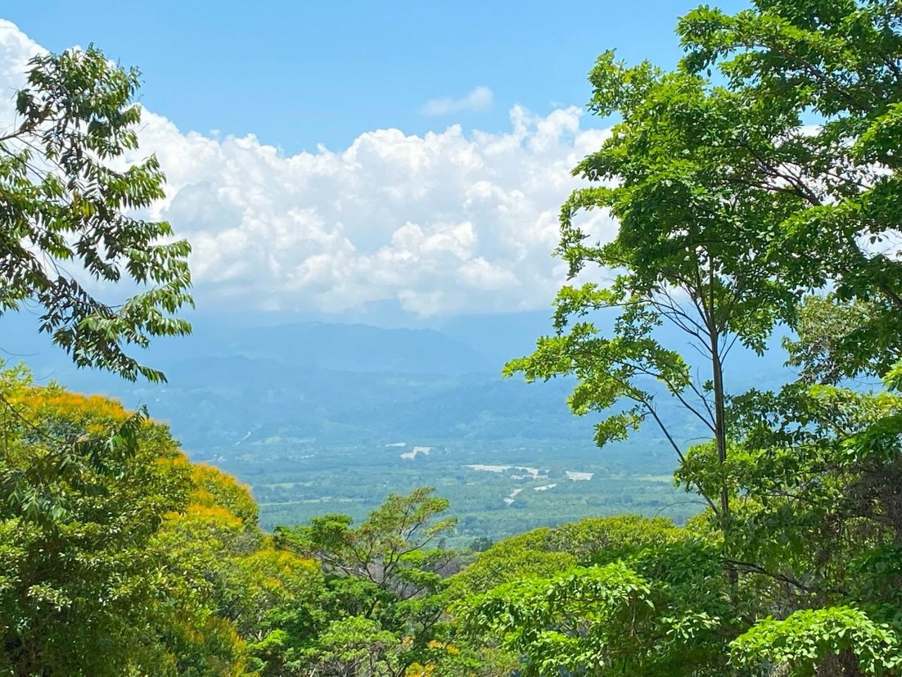 Mountain River View Farm, Osa, Puntarenas