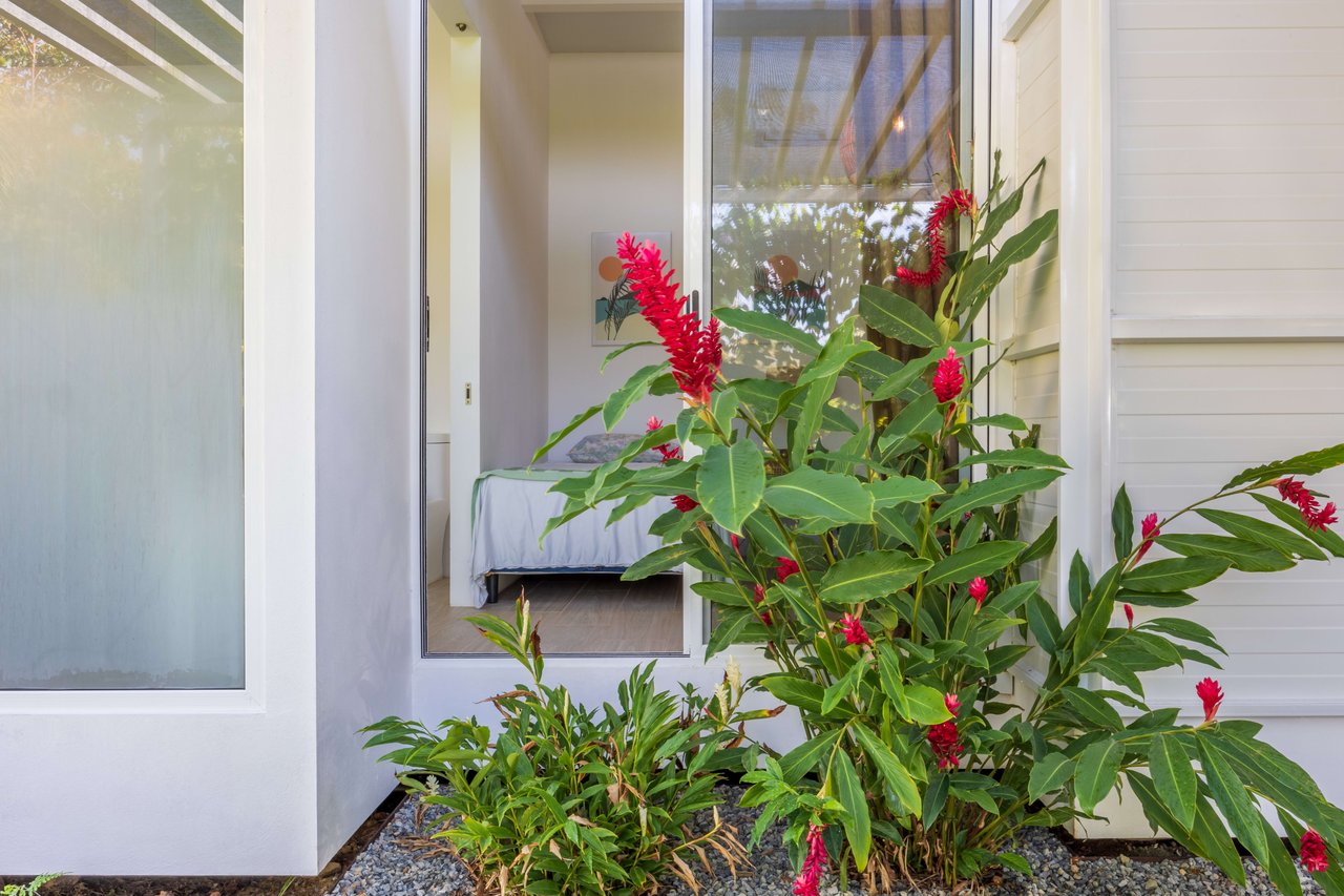 Casa Las Palmeras, Stunning Mountain and Ocean View Home