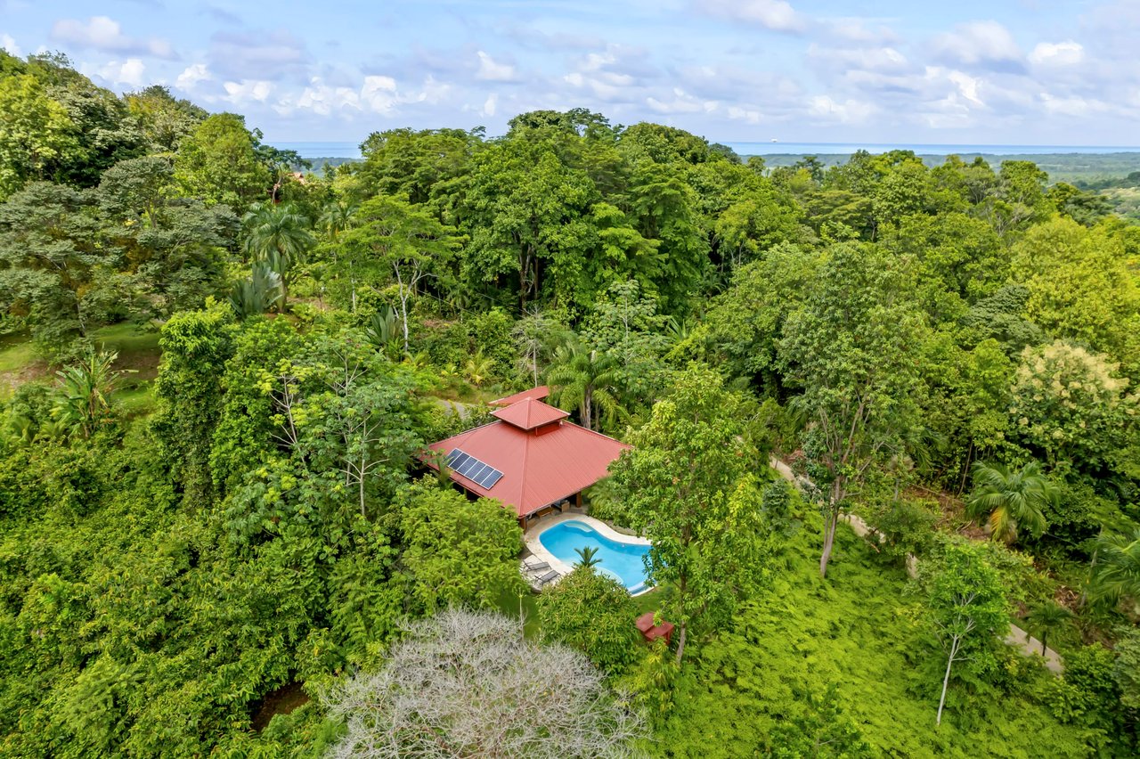 Casa Loro Verde,  Rainforest Jungle Retreat Home on 5.24 Acres in Portalon!