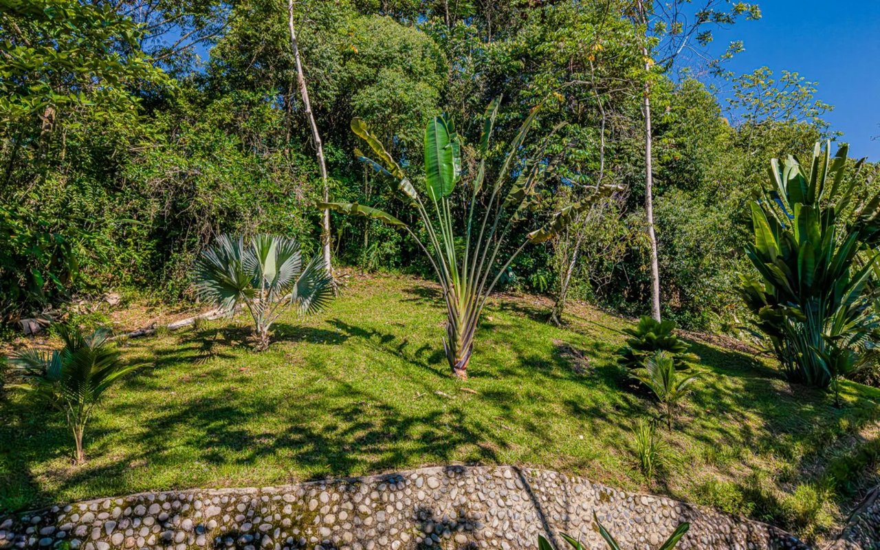 Off-Grid Regenerative Homestead, Perez Zeledon, San Jose