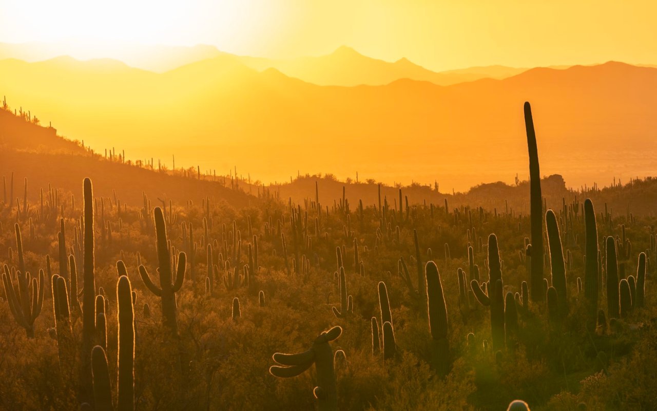 Hiking in Oro Valley & Northwest Tucson, AZ: Discovering Desert Beauty