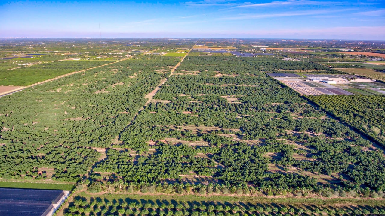 330 Acres of Avocado Groves